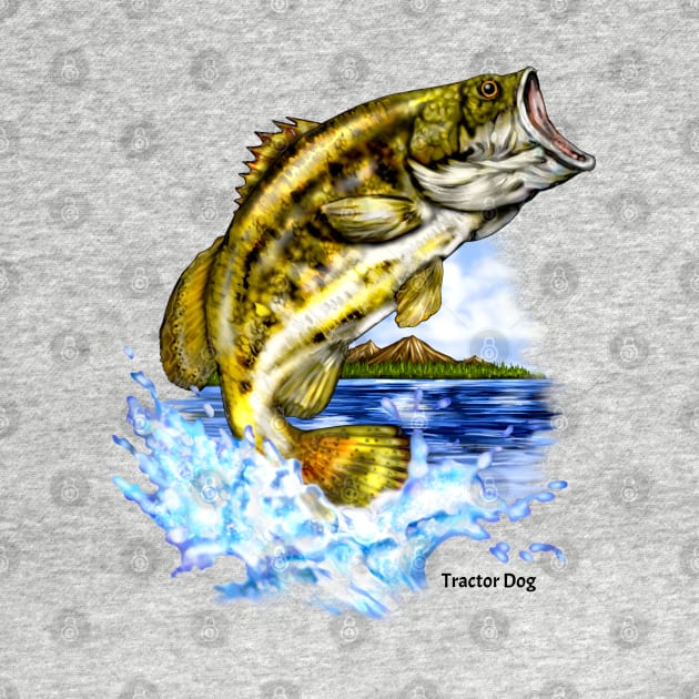 Largemouth Bass Jumping by tractordog